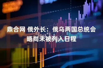 鼎合网 俄外长：俄乌两国总统会晤尚未被列入日程
