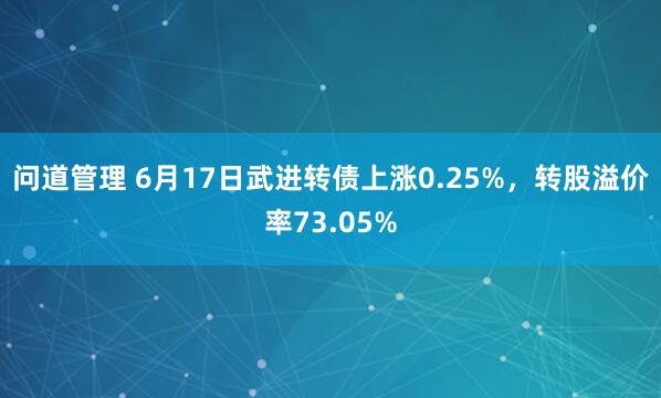 问道管理 6月17日武进转债上涨0.25%,转股溢价率73.05%
