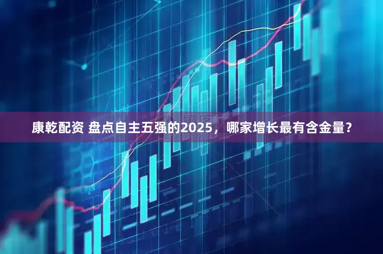 康乾配资 盘点自主五强的2025，哪家增长最有含金量？